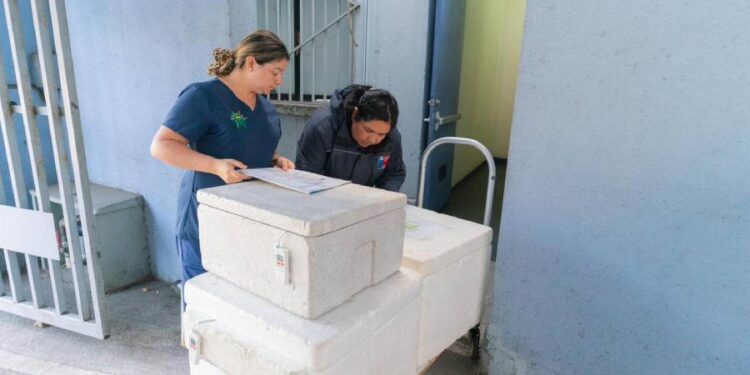 Campaña de vacunación contra la influenza comenzará el 1 de marzo en Ñuble