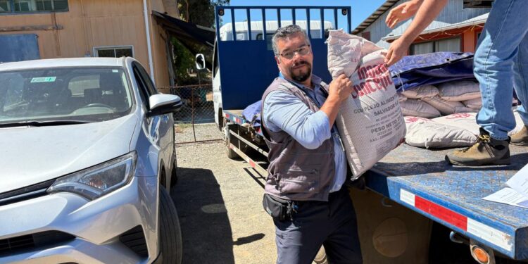 Ministerio de Agricultura realiza entrega de alimentación apícola para productores afectados por incendios en Ñuble