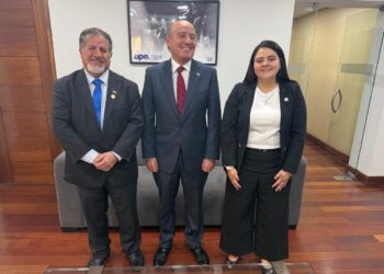 Diputados del Partido Social Cristiano presentan batería de medidas tributarias al futuro ministro de Hacienda para reconstrucción de Ñuble y Biobío