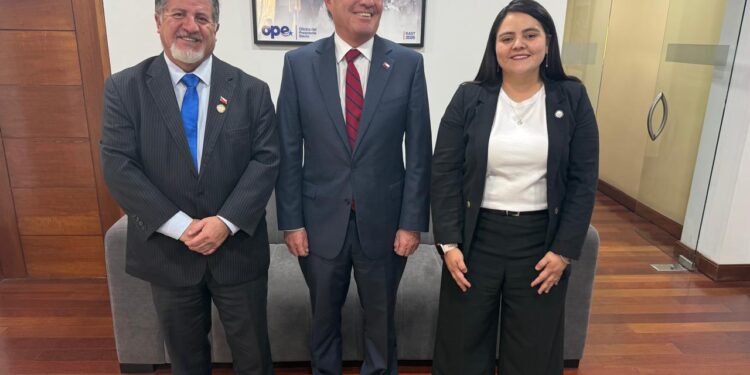 Diputados del Partido Social Cristiano presentan batería de medidas tributarias al futuro ministro de Hacienda para reconstrucción de Ñuble y Biobío