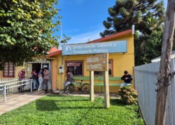 El Carmen agiliza permisos de circulación con atención en menos de 10 minutos