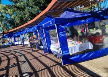 Iniciativa “Ferias Libres” benefició a 24 emprendedoras carmelinas