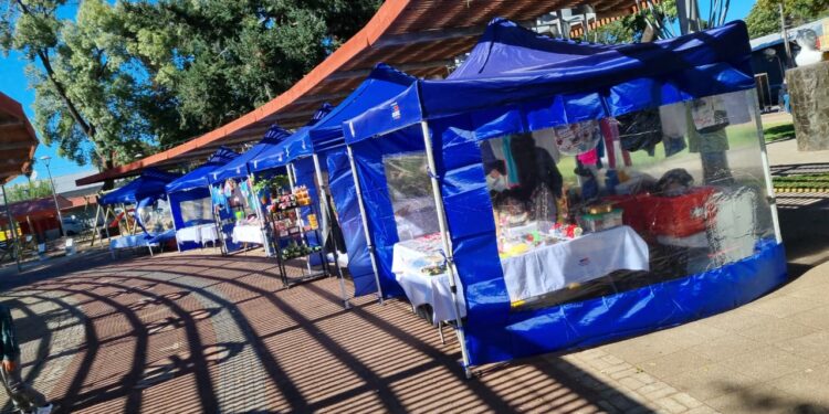 Iniciativa “Ferias Libres” benefició a 24 emprendedoras carmelinas