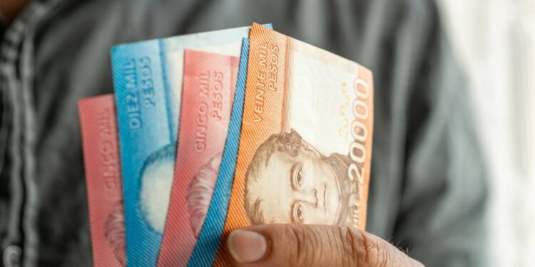 Desde mediados de febrero familias de Ñuble podrán recibir el Aporte Familiar Permanente