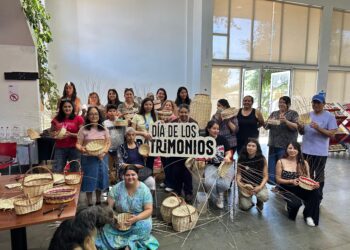 Gran convocatoria marcó el primer Día de los Patrimonios en Verano en la región de Ñuble