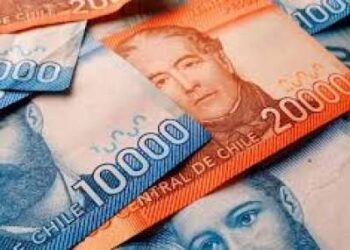 Más de 32 mil hogares de Ñuble reciben el Aporte Familiar Permanente