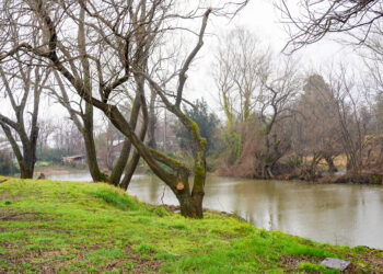 Yungay inicia proceso para declarar el Humedal Laguna El Indio como humedal urbano