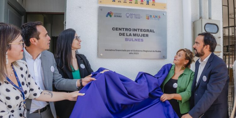 Más de mil mujeres apoyadas: Centros de la Mujer del Gobierno Regional consolidan su gestión en Ñuble