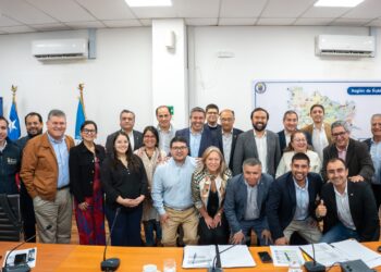 Consejo Regional aprueba distribución de proyectos de mejoramiento urbano y de barrio en 12 comunas de Ñuble