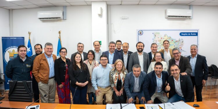 Consejo Regional aprueba distribución de proyectos de mejoramiento urbano y de barrio en 12 comunas de Ñuble