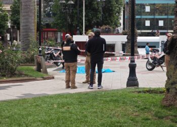 Mujer fallece tras consumir mote con huesillo en plaza mayor de Temuco
