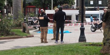 Mujer fallece tras consumir mote con huesillo en plaza mayor de Temuco