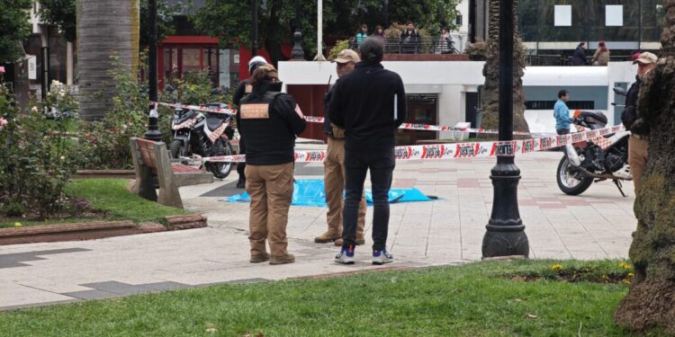 Mujer fallece tras consumir mote con huesillo en plaza mayor de Temuco