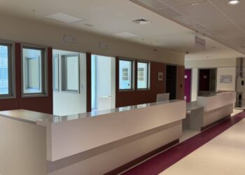 Nuevo hospital de Ñuble cuenta con unidad de “parto integral” y hospitalización diferenciada