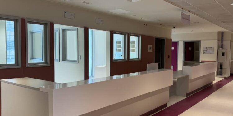 Nuevo hospital de Ñuble cuenta con unidad de “parto integral” y hospitalización diferenciada