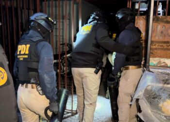 Detienen a Sujeto por cultivo de cannabis en Ñuble