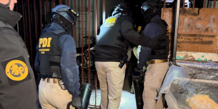 Detienen a Sujeto por cultivo de cannabis en Ñuble