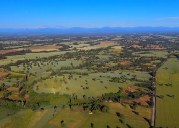 Productividad agrícola en riesgo: Asociación Laja-Diguillín advierte impacto de alza de combustibles