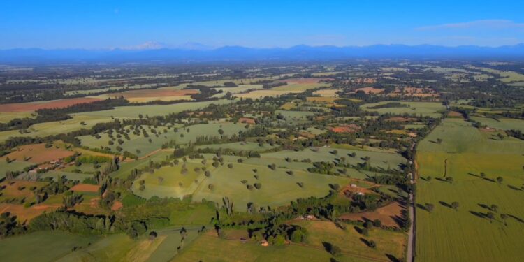 Productividad agrícola en riesgo: Asociación Laja-Diguillín advierte impacto de alza de combustibles