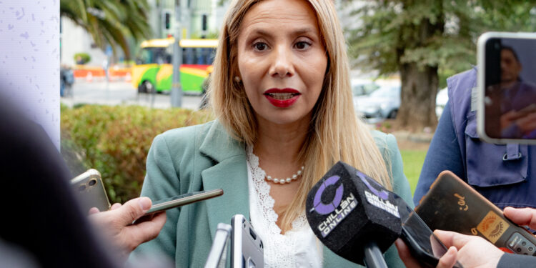 Seremi del Medio Ambiente de Ñuble da inicio a un nuevo período de Gestión de Episodios Críticos 2026 en Chillán y Chillán Viejo