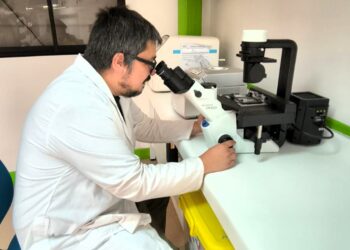 Ediciones UBB lanza publicación del académico Mauricio Alfaro sobre fonoaudiología