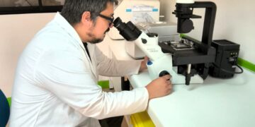 Ediciones UBB lanza publicación del académico Mauricio Alfaro sobre fonoaudiología