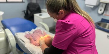 Más de 10 programas de salud bucal están disponibles en la red pública de Ñuble para todas las etapas de la vida