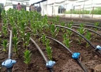 Comisión Nacional de Riego lanza nueva plataforma en línea para el Registro Público Nacional de Consultores de la Comisión Nacional de Riego