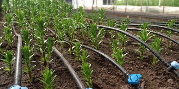 Comisión Nacional de Riego lanza nueva plataforma en línea para el Registro Público Nacional de Consultores de la Comisión Nacional de Riego