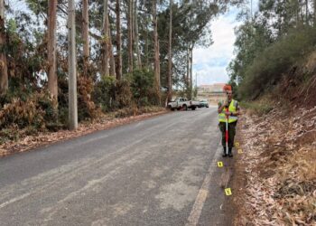 Choque contra árbol deja a conductora fallecida en Cobquecura