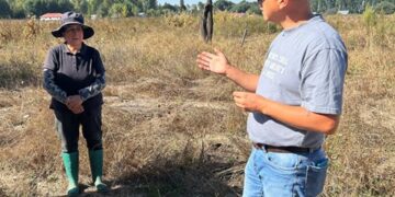 En julio comienza innovadora parcela demostrativa de perales en Chillán