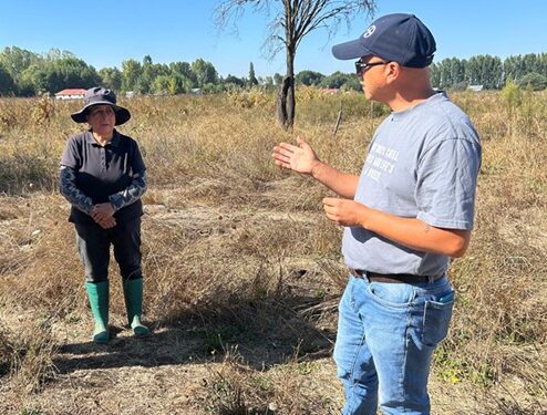 En julio comienza innovadora parcela demostrativa de perales en Chillán