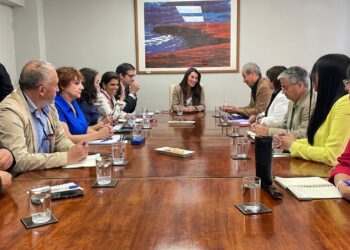 COLEGIO DE PROFESORES SEGUIRÁ ATENTO AL ANUNCIADO AJUSTE PRESUPUESTARIO.