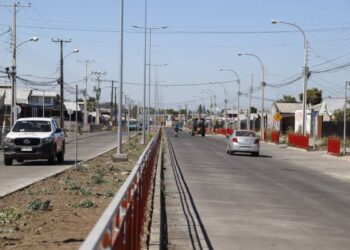 Carabineros refuerza seguridad en Av. Los Puelches para recuperar entorno del Persa