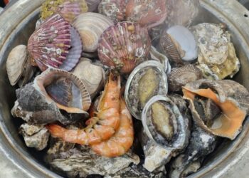 Qué debes saber sobre el monitoreo ambiental antes de consumir mariscos en Semana Santa