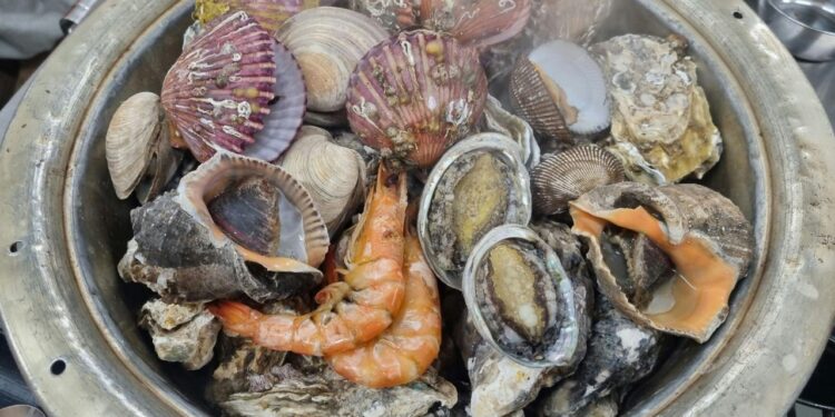 Qué debes saber sobre el monitoreo ambiental antes de consumir mariscos en Semana Santa