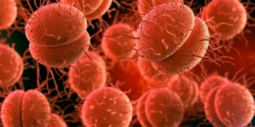 Meningitis cobra su primera víctima de este año en Ñuble, Hombre de 40 años es el primer fallecido