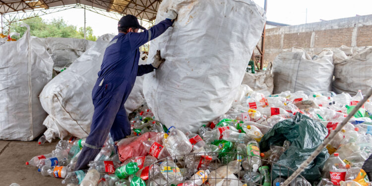 Recicladores de base: protagonistas clave para avanzar hacia una economía circular en Ñuble