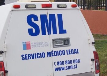 Niña pierde la vida tras ser atacada por perros al interior de un molino en Chillán