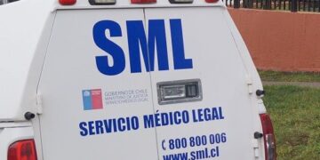 Niña pierde la vida tras ser atacada por perros al interior de un molino en Chillán