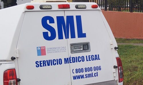 Niña pierde la vida tras ser atacada por perros al interior de un molino en Chillán