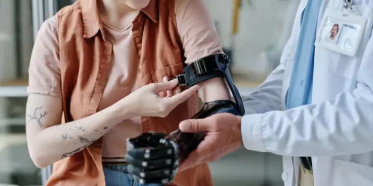 Por qué los mamíferos no podemos regenerar partes del cuerpo enteras como otros animales 