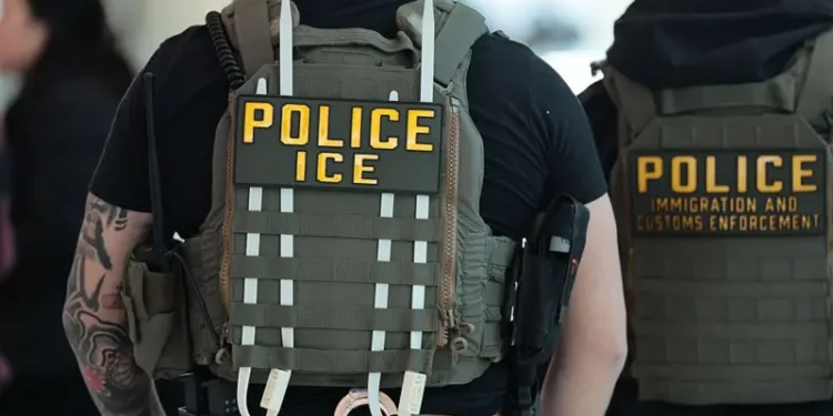 Una mujer francesa fue detenida por el Servicio de Inmigración y Control de Aduanas (ICE) de Estados Unidos.