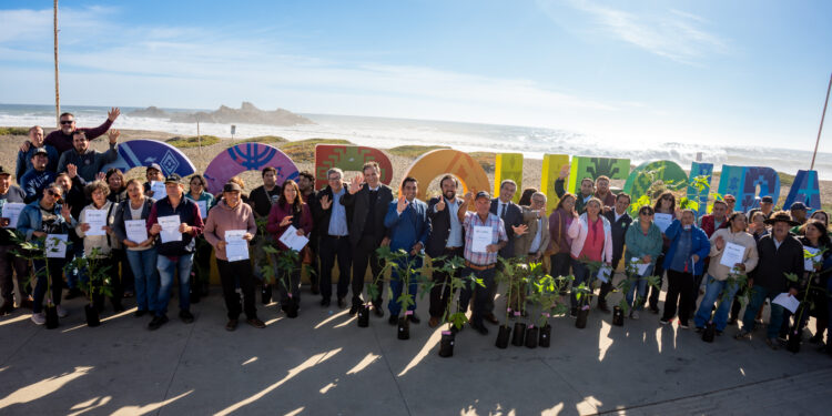 Impulsan recuperación agrícola en Itata con entrega de más de 2.700 plantas de papayo