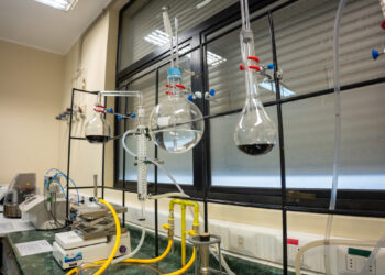 Gobierno Regional y UBB Inauguran primer Laboratorio Tecnológico del Vino de la Región de Ñuble