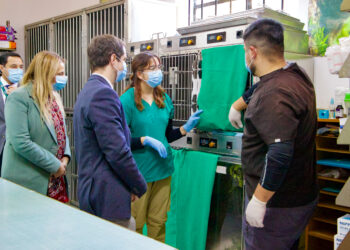 Subsecretario del Medio Ambiente lanza el mayor fondo de protección ambiental que fortalece centros de rescate de fauna silvestre 