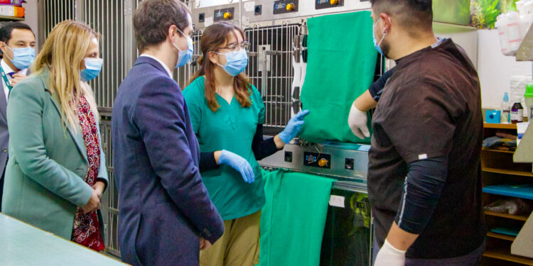 Subsecretario del Medio Ambiente lanza el mayor fondo de protección ambiental que fortalece centros de rescate de fauna silvestre 