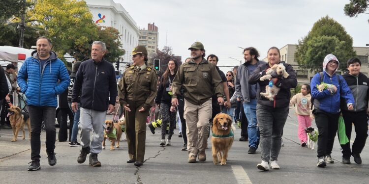 Ayer Domingo 19 de Abril Se realizó  Caminata Canina y Corrida Familiar en el marco del 99° aniversario de Carabineros de Chile
