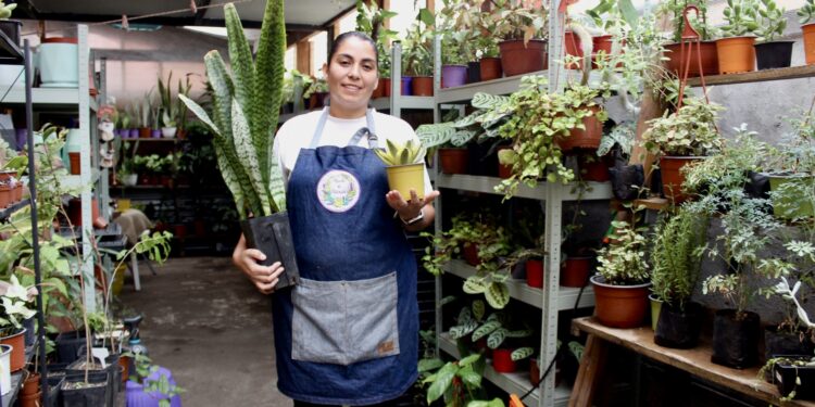“El Jardín de Constanza” da un nuevo paso en su crecimiento gracias a Capital Abeja Emprende y al Gobierno Regional