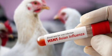 Profesionales de la Corporación Nacional Forestal Conaf de Ñuble, participaron en una jornada de capacitación sobre influenza aviar